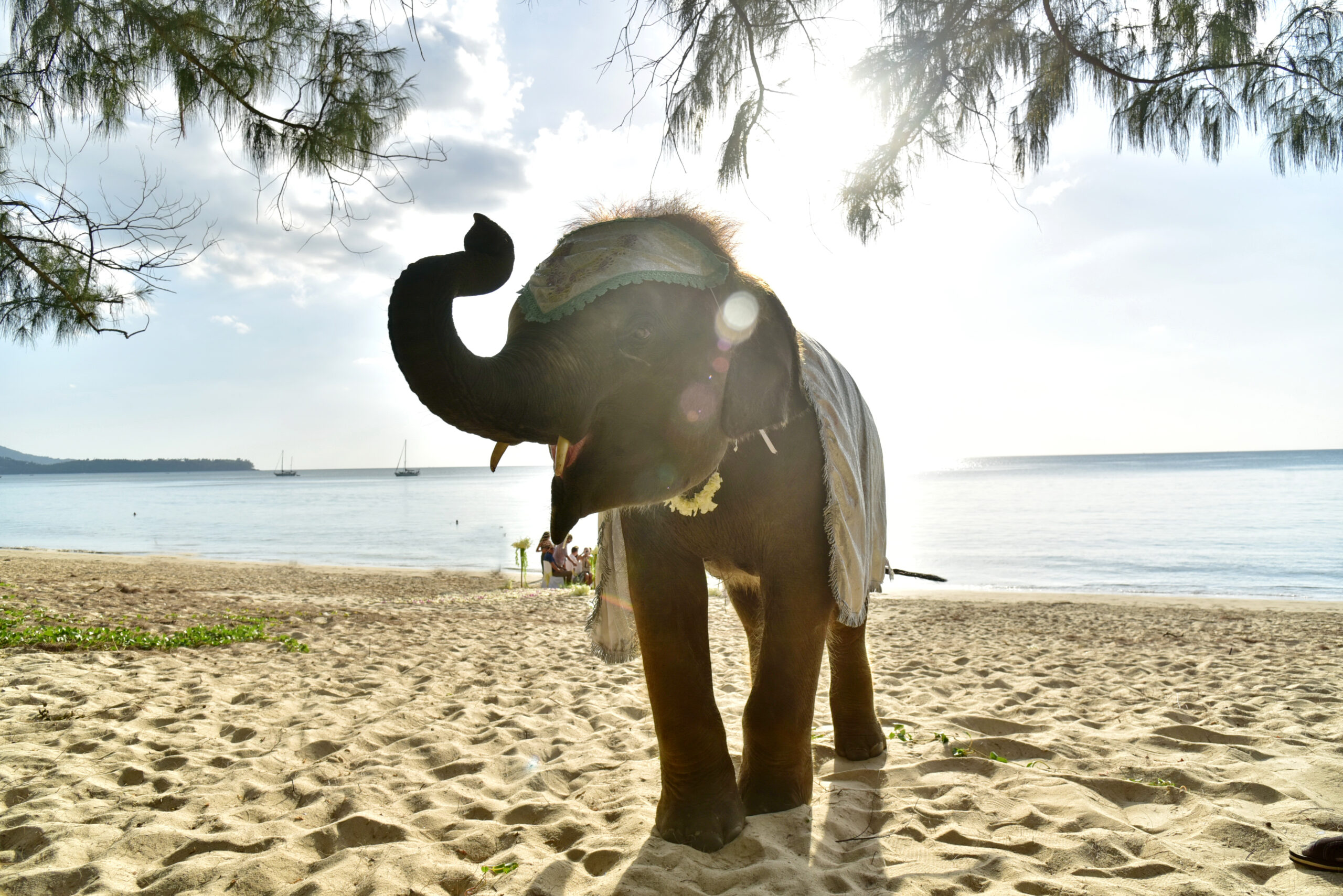 PHOTOS phuket beach wedding ceremony package alana stephen 15